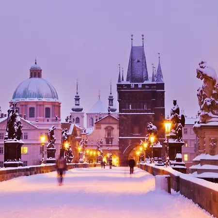 Luxury Parking By Michal&friends